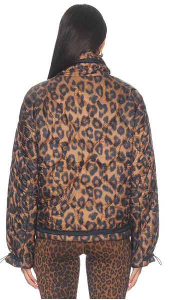 Harvie Jacket