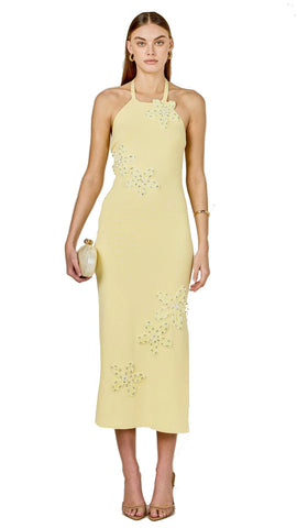 IRA MAXI DRESS IN DAPHNE FLORAL