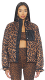 Harvie Jacket