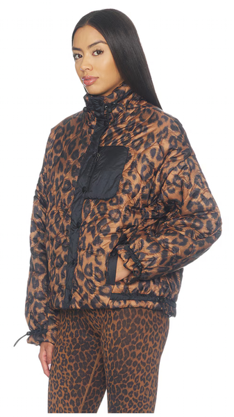 Harvie Jacket